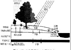 地下水体系作用势