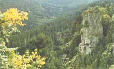 山东蟠龙山国家森林公园
