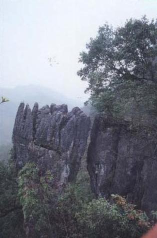 壶瓶山 峰林地貌