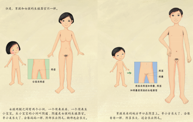 《珍爱生命——幼儿性健康教育绘本》插图 