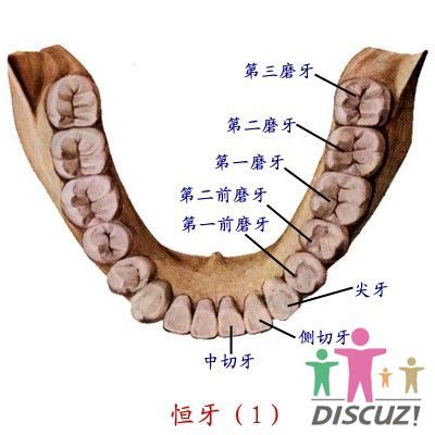 口腔