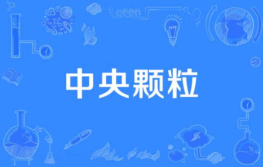 中央颗粒