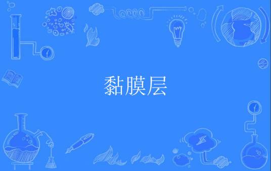 黏膜层