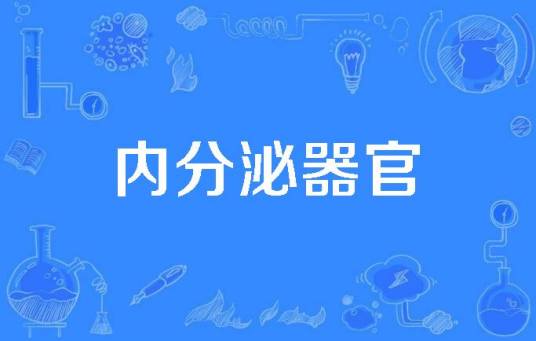 内分泌器官
