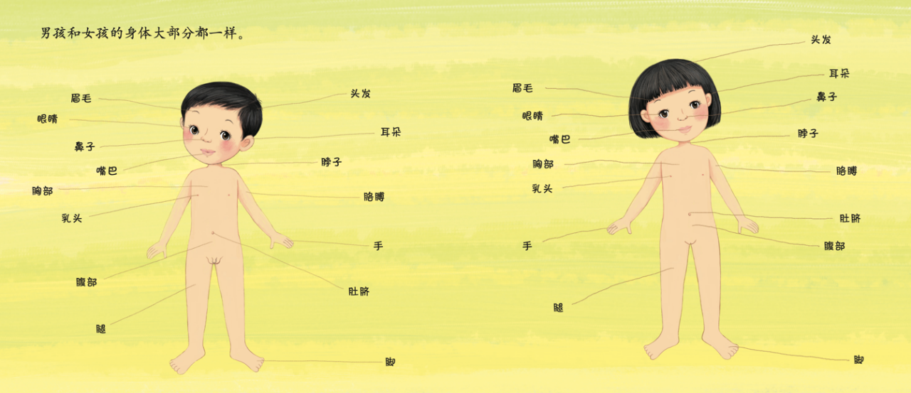 《珍爱生命——幼儿性健康教育绘本》插图 