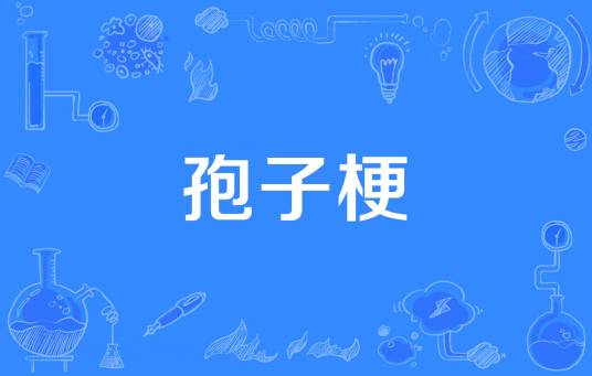 孢子梗