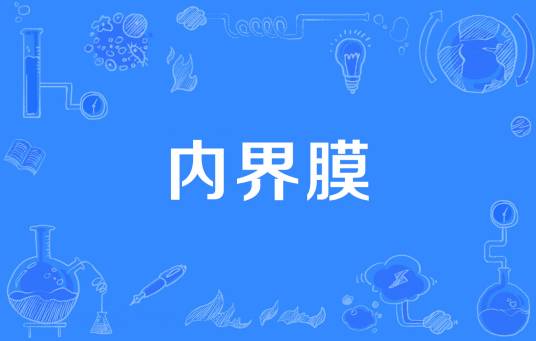 内界膜