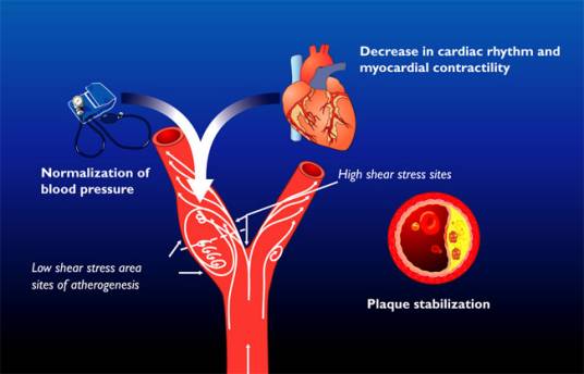 急性失血性贫血 急性失血性贫血