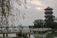 西湖管理区景色