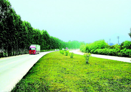惠大高速公路的前身是惠澳一级公路