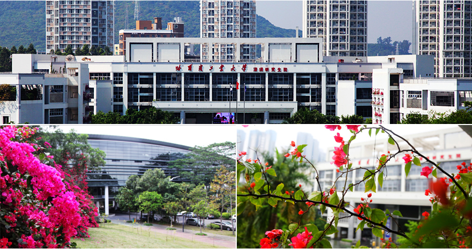 哈尔滨工业大学（深圳）