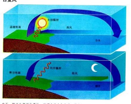 图1 海陆风示意图