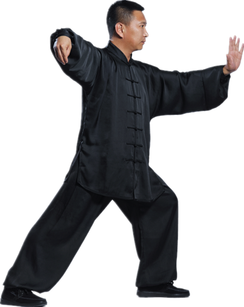 杨氏太极拳
