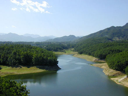 图2 强家湾水库水面