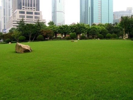 城市绿地