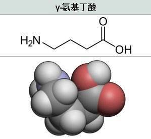  γ-氨基丁酸结构