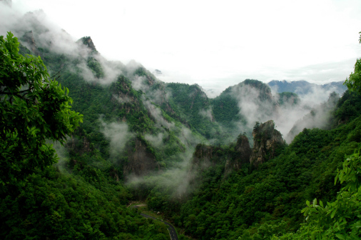骆驼峰
