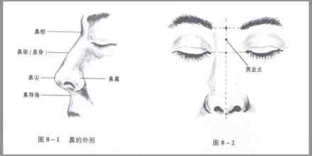 朝天鼻