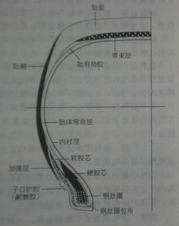 图4 轻载子午线轮胎断面