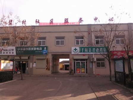 草碧镇草碧村社区服务中心
