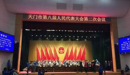 天门市第八届人民代表大会第二次会议