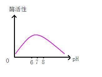 PH对酶活性的影响