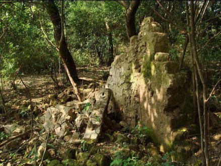 石家河文化遗址