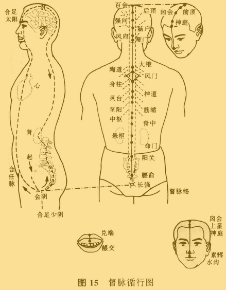 腧穴