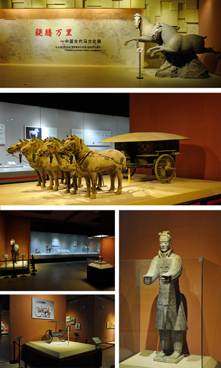 中国古代马文化展
