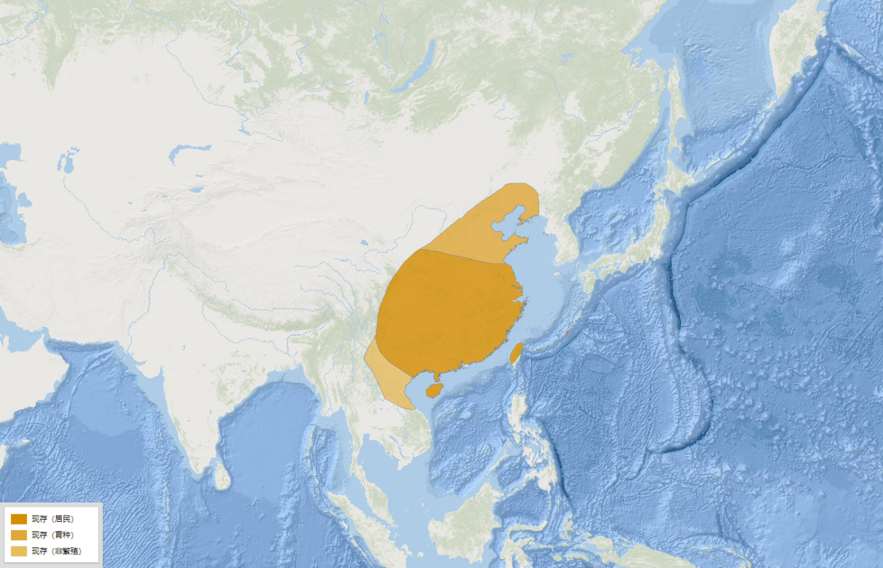 白头鹎分布图