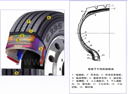 图1 载重子午胎