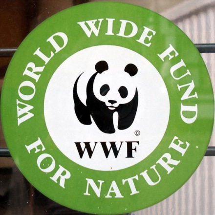 世界自然基金会标志（WWF）