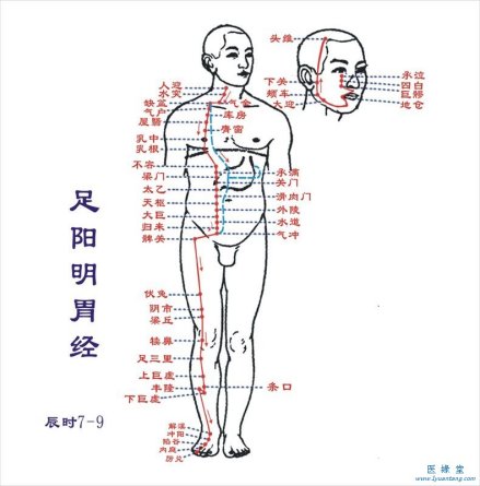 腧穴