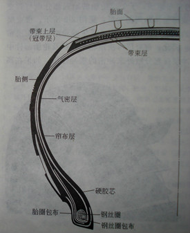 图2 轿车子午胎断面