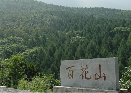 百花山风景图