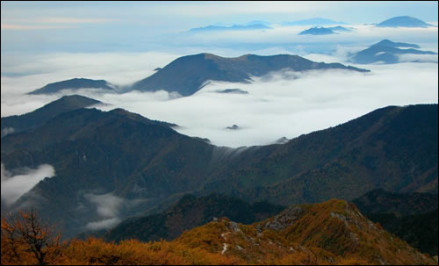 陕西太白山国家级自然保护区