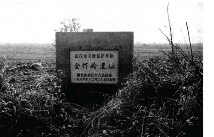 金竹岭遗址