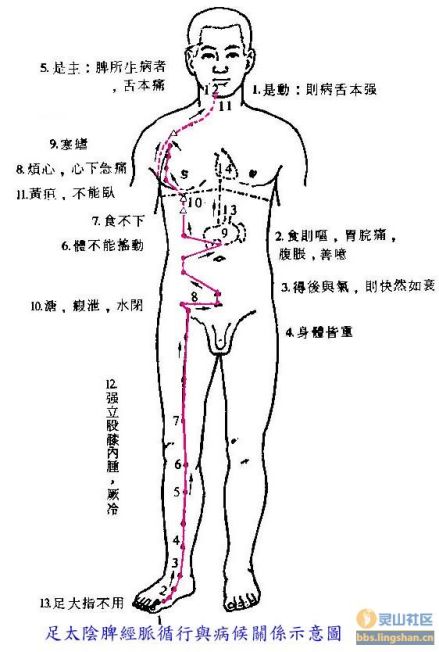 脾经