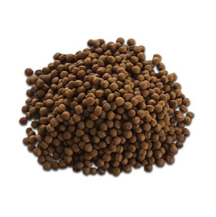 宠物食品-狗粮