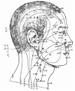 头颈部腧穴示意图