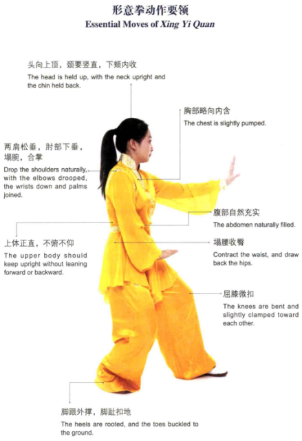 形意拳动作要领 