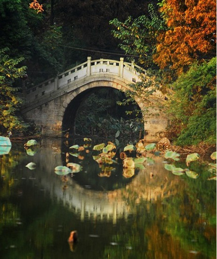 澹津公园