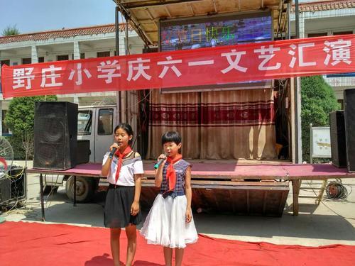 仪封镇野庄小学