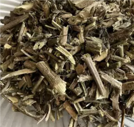 中药-颠茄