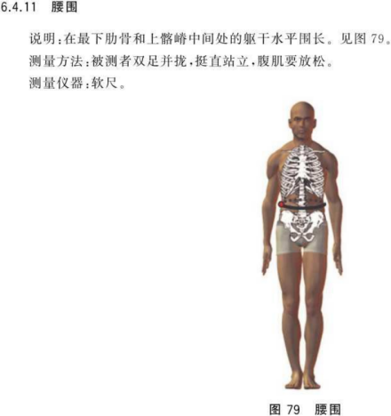 在最下肋骨和上髂嵴中间处的躯干水平围长 
