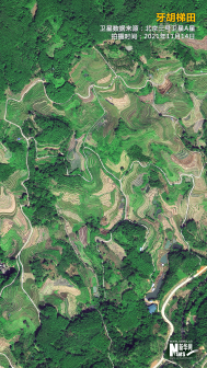 牙胡梯田