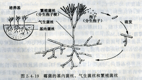 说明图片