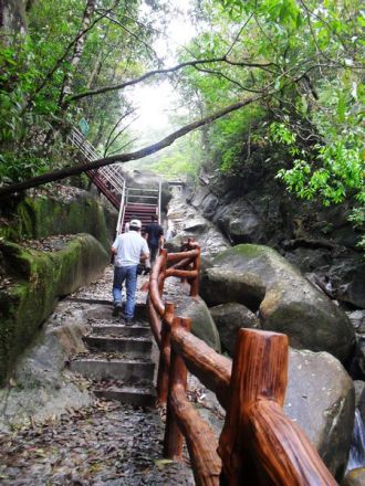 屏峰雨林公园