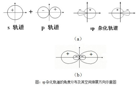 sp杂化轨道角度分布及其空间伸展方向示意图