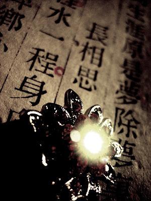 纳兰词